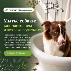Мытьё собаки