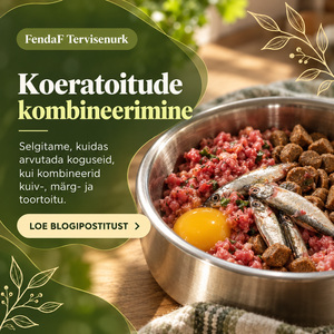 FendaF Tervisenurk: artikkel #66 (ET)