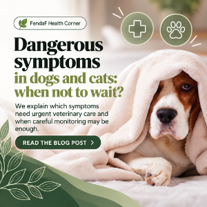 Dangerous symptoms in dogs and cats: when to see a vet?