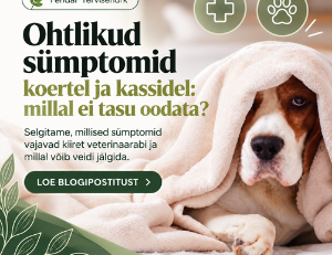 ohtlikud sümptomid koertel ja kassidel: millal ei tasu oodata?