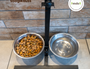 kõrgendusega söögikauss