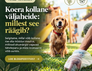 koera kollane väljaheide ja millest see räägib