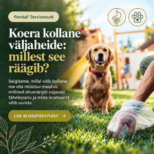 koera kollane väljaheide ja millest see räägib