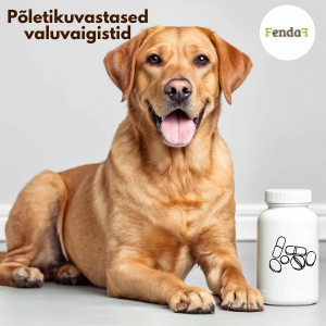 Läheme vahelduseks taaskord ravimite maailma. Rõhutan kohe alguses veel kord –  ravimitel on kindel aeg ja koht, aga me ei tohiks ravimite andmisse suhtuda kerg