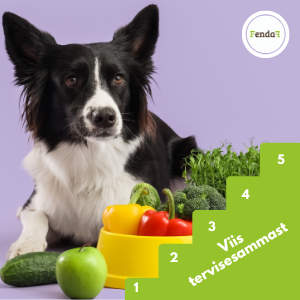 Läheme sel korral veidi sügavamale teemasse, sest sinu lemmiku tervis ei sõltu ainult toidust ega liikumisest. Meie lemmiku keha on kompleksne süsteem ning sell