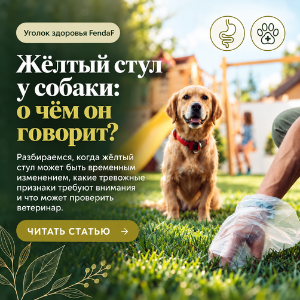 Жёлтый стул у собаки: причины и тревожные признаки