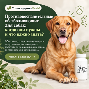 противовоспалительные обезболивающие для собак