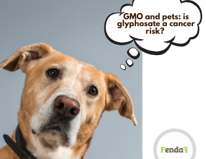 GMO and glyphosate in pet food – possible long-term health risks for pets