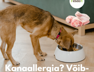 kanaallergia