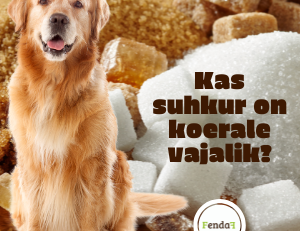 suhkur