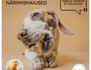 närimismaiused koerale
