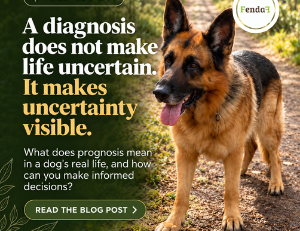 dog's quality of life: diagnosis doesn't make life uncertain