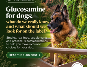 Glucosamine for dogs: what do we really know?