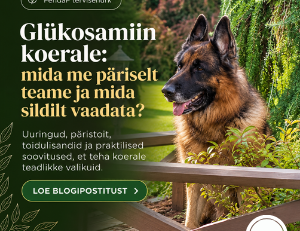 Glükosamiin koerale: mida me päriselt sellest teame