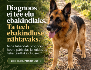 Koera elukvaliteet: diagnoos ei muuda elu ebakindlaks