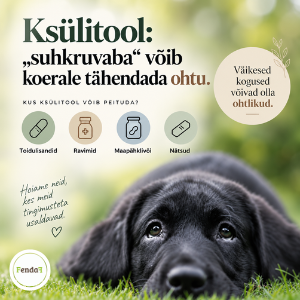 Ksülitool koerale: kui ohtlik see on ja mida teha, kui koer sõi ksülitooli?
