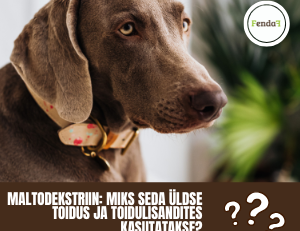 Maltodekstriin koeratoidus ja toidulisandites: miks seda üldse kasutatakse?