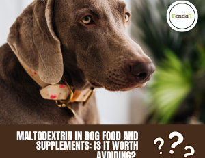 Maltodextrin in dog food and supplements - effects on blood sugar, gut health and microbiome.