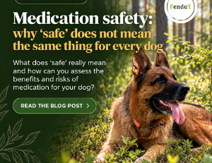Medication safety: why "safe" does not mean the same thing for every dog