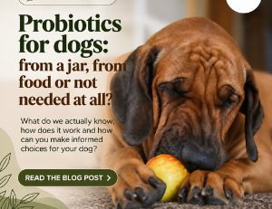 Probiotics for dogs: beneficial bacteria and the microbiome