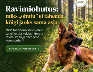Ravimiohutus koeral: mida „ohutu“ tegelikult tähendab?