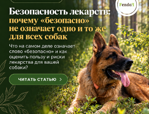 Безопасность лекарств у собак: что значит «безопасно»?