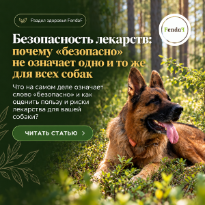 Безопасность лекарств у собак: что значит «безопасно»?