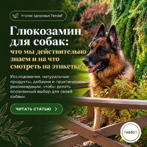 Глюкозамин для собак: что говорит наука?