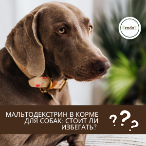 Мальтодекстрин в корме и добавках для собак - влияние на сахар крови, кишечник и микробиом.