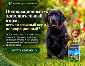Полнорационный и дополнительный корм: в чём разница?