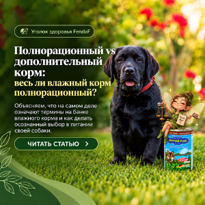 Полнорационный и дополнительный корм: в чём разница?