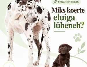 FendaF tervisenurk: Miks koerte eluiga lüheneb?