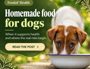 Homemade food for dogs