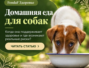 Домашняя еда для собак