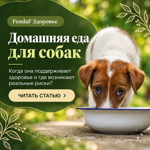 Домашняя еда для собак