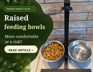 Elevated feeding bowl for dogs: comfort and health risks