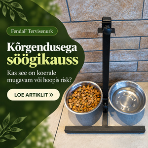 Kõrgendusega söögikauss ja koera toitmisnõu