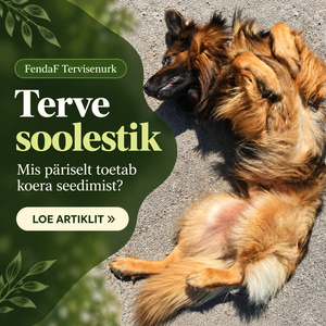 Terve soolestik: selili puhkav koer