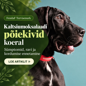 Kaltsiumoksalaadi põiekivid koeral