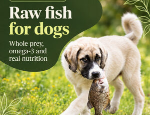 Raw fish for dogs: whole prey, omega-3 and nutritional value