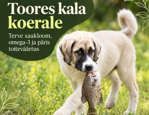 Toores kala koerale: terve saakloom, oomega-3 ja toiteväärtus (ET)