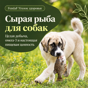 Сырая рыба для собак: цельная добыча, омега-3 и питательная ценность