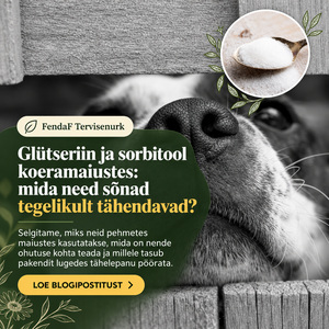 Koera nina lähivaade ja lusikatäis valgeid graanuleid; pealkiri glütseriinist ja sorbitoolist koeramaiustes.