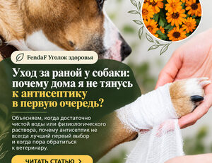 Собака с перевязанной лапой рядом с рукой и цветами календулы; заголовок об уходе за раной.