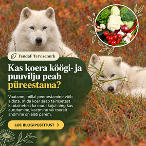 Kaks valget koera sügiseses looduses ja köögiviljade pilt; pealkiri köögi- ja puuviljade püreestamisest.