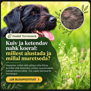 Must koer õues ja ketendava naha lähivaade; pealkiri „Kuiv ja ketendav nahk koeral”.