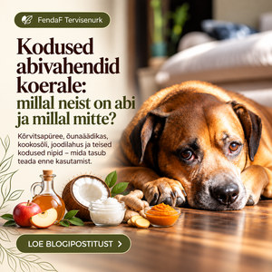Kodused abivahendid koerale ET