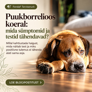 Puukborrelioos koeral ET