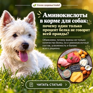 Аминокислоты в корме для собак: почему процент белка не рассказывает всей истории