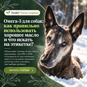 Омега-3 для собак: правильное использование масла и чтение этикетки